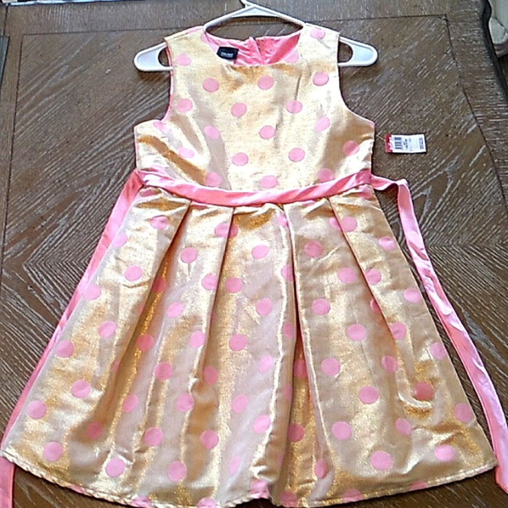 Girl Gold and Pink Dress